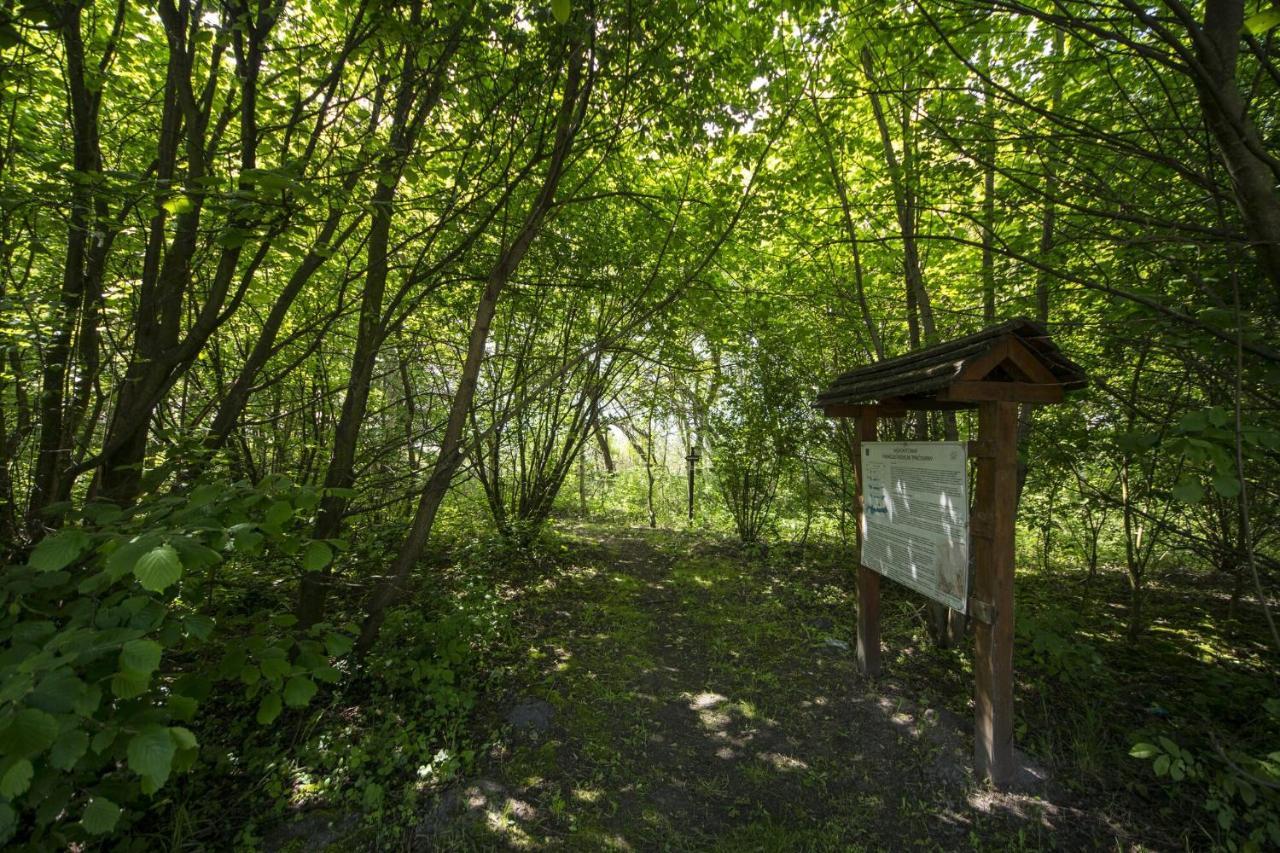 Apartament Toereki 34 Vendeghaz Siófok Zewnętrze zdjęcie