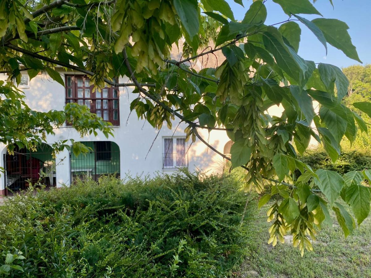 Apartament Toereki 34 Vendeghaz Siófok Zewnętrze zdjęcie